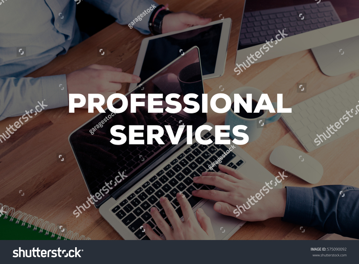 Professional Services