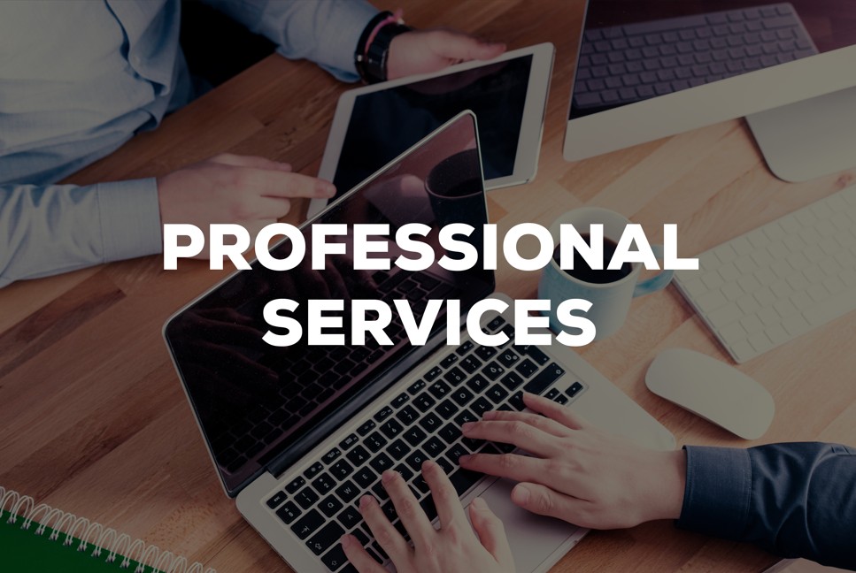 Professional Services